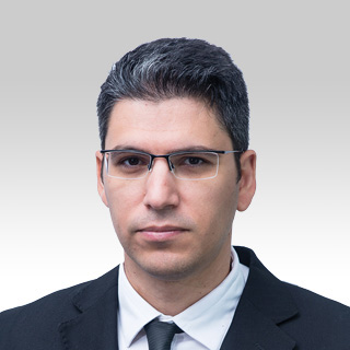 גיא רינטוביץ'